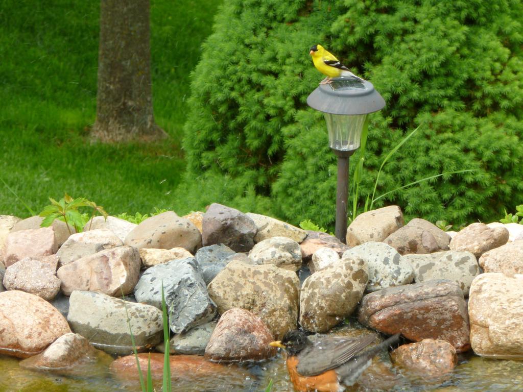 Trickling Waters Retreat Βίλα Marquette Εξωτερικό φωτογραφία