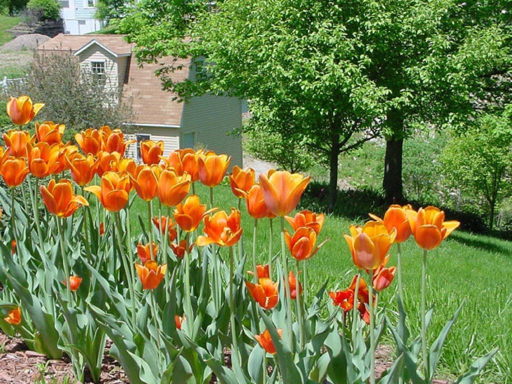 Trickling Waters Retreat Βίλα Marquette Εξωτερικό φωτογραφία
