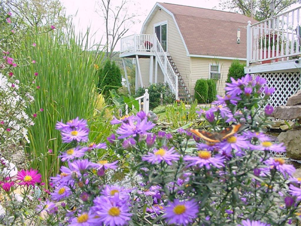 Trickling Waters Retreat Βίλα Marquette Εξωτερικό φωτογραφία
