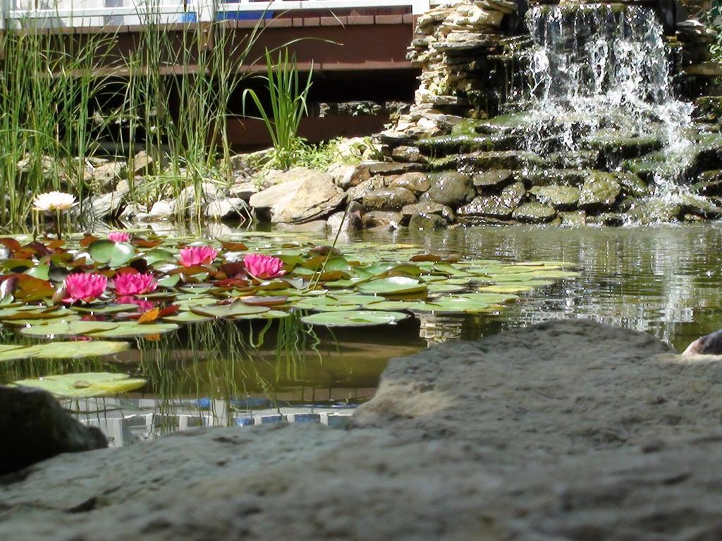 Trickling Waters Retreat Βίλα Marquette Εξωτερικό φωτογραφία