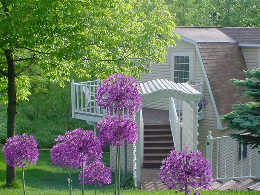 Trickling Waters Retreat Βίλα Marquette Εξωτερικό φωτογραφία